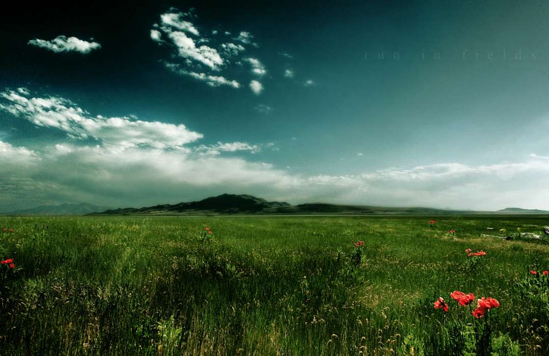 Landscape, Grass, Sky
