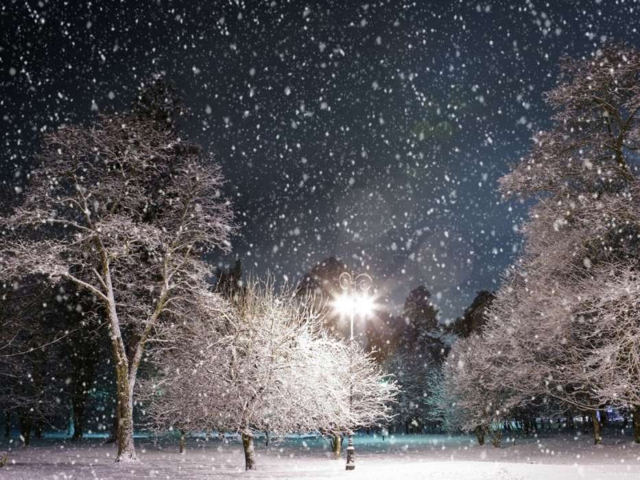 Night,Landscape,Snow,Winter