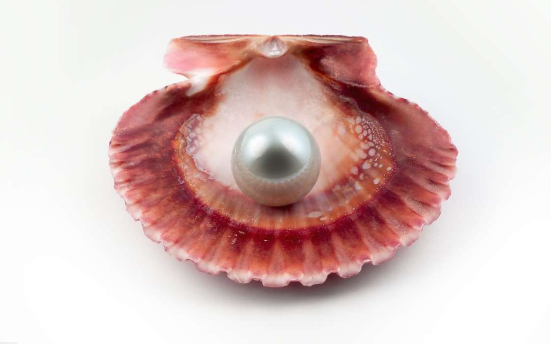 Objects, Pearls
