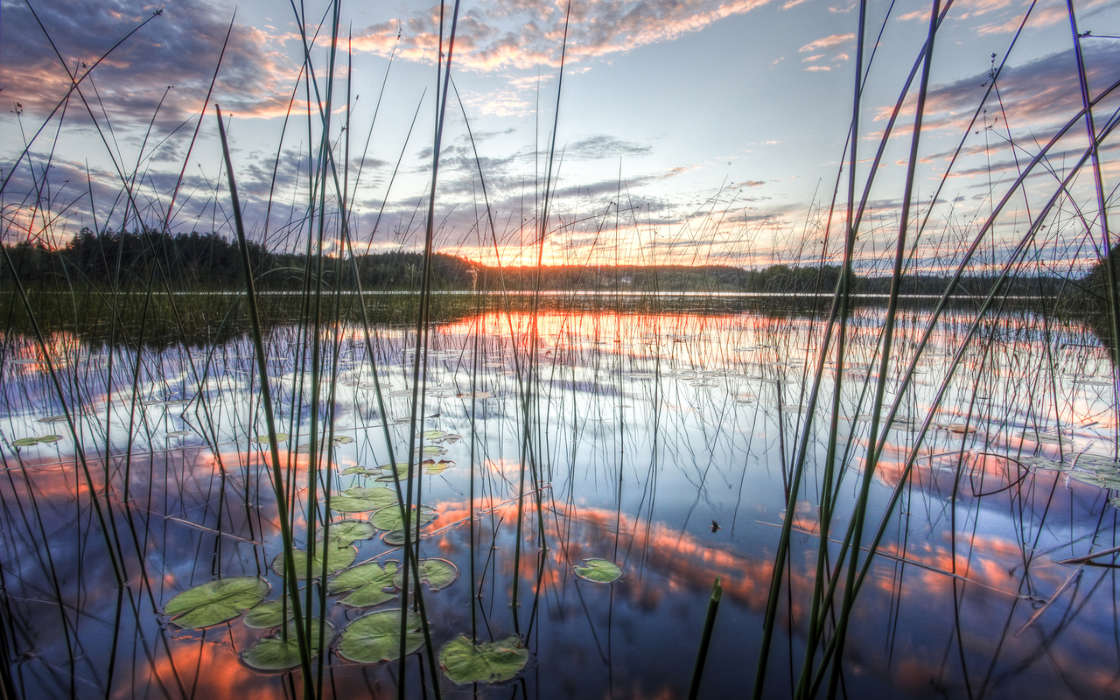 Lakes, Nature, Water, Sunset
