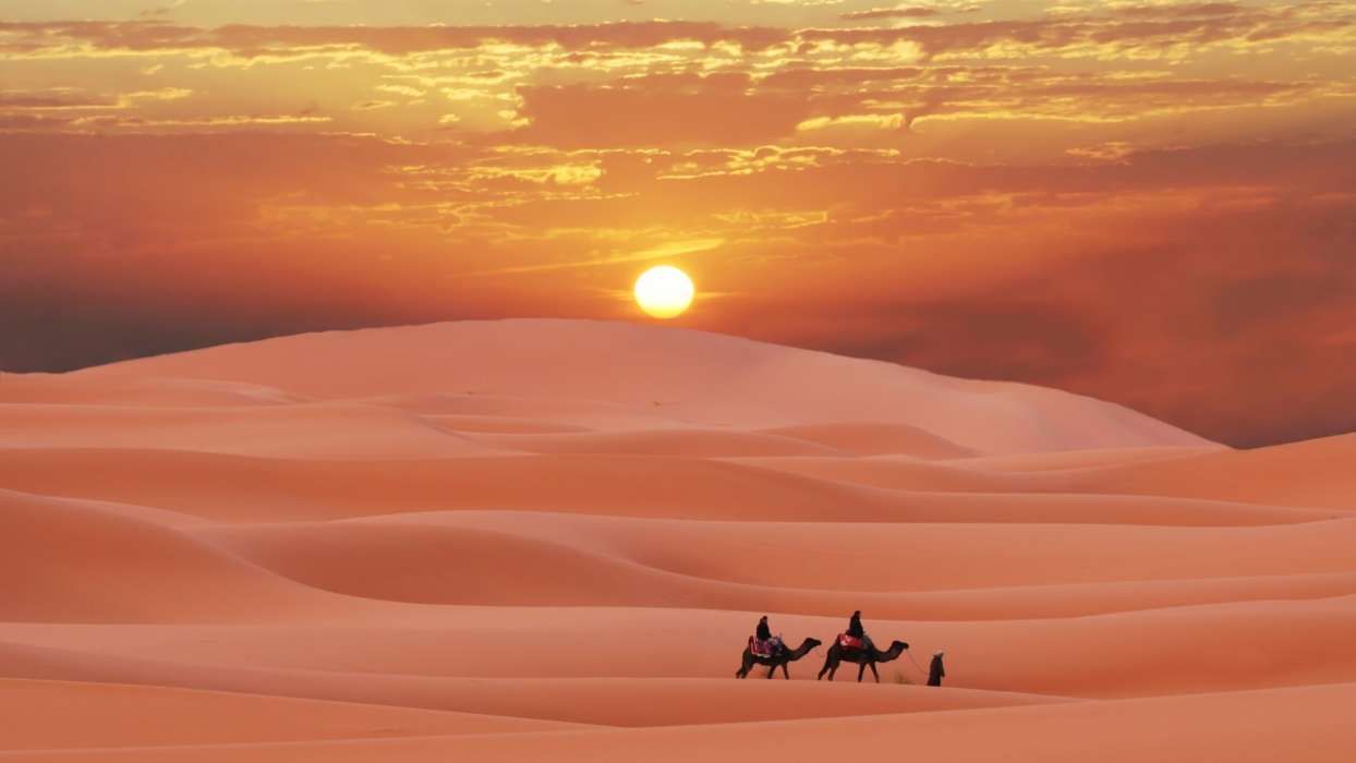Landscape, Sand, Desert, Camels, Sunset