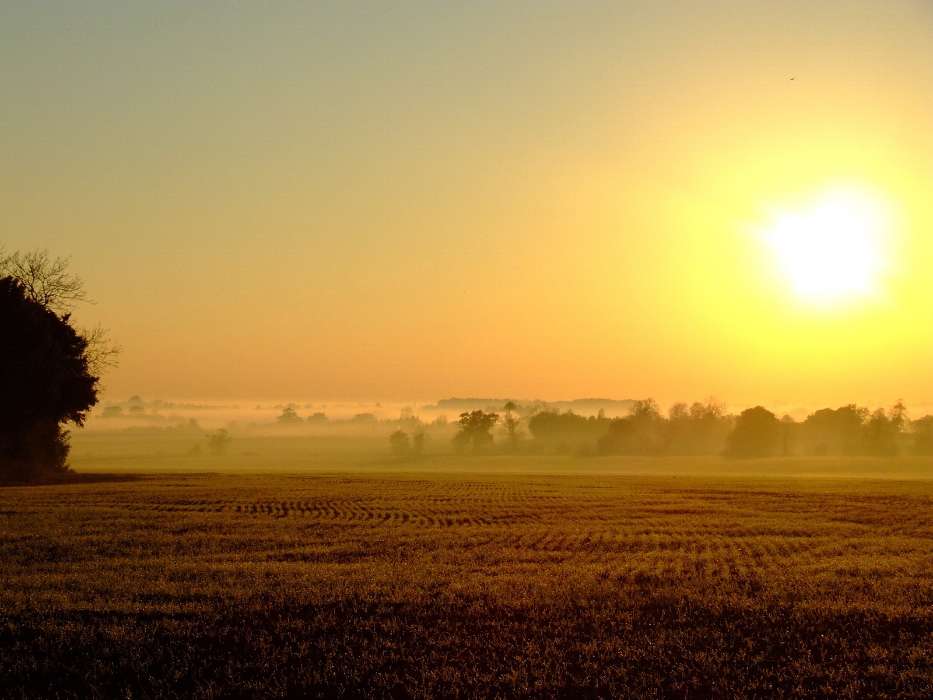 Landscape, Fields, Sun