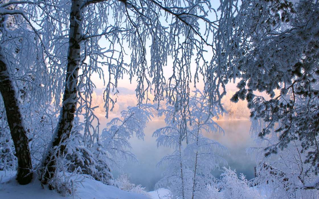 Landscape,Nature,Winter