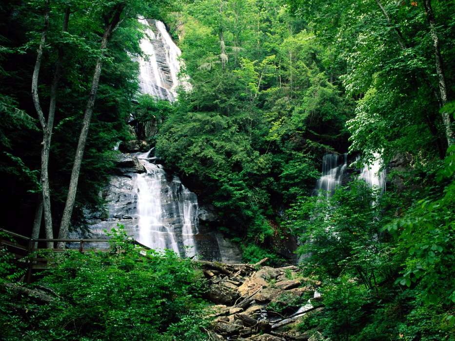 Nature, Plants, Waterfalls