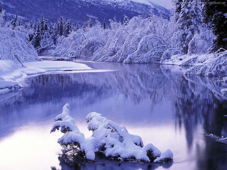 Landscape, Winter, Water, Rivers