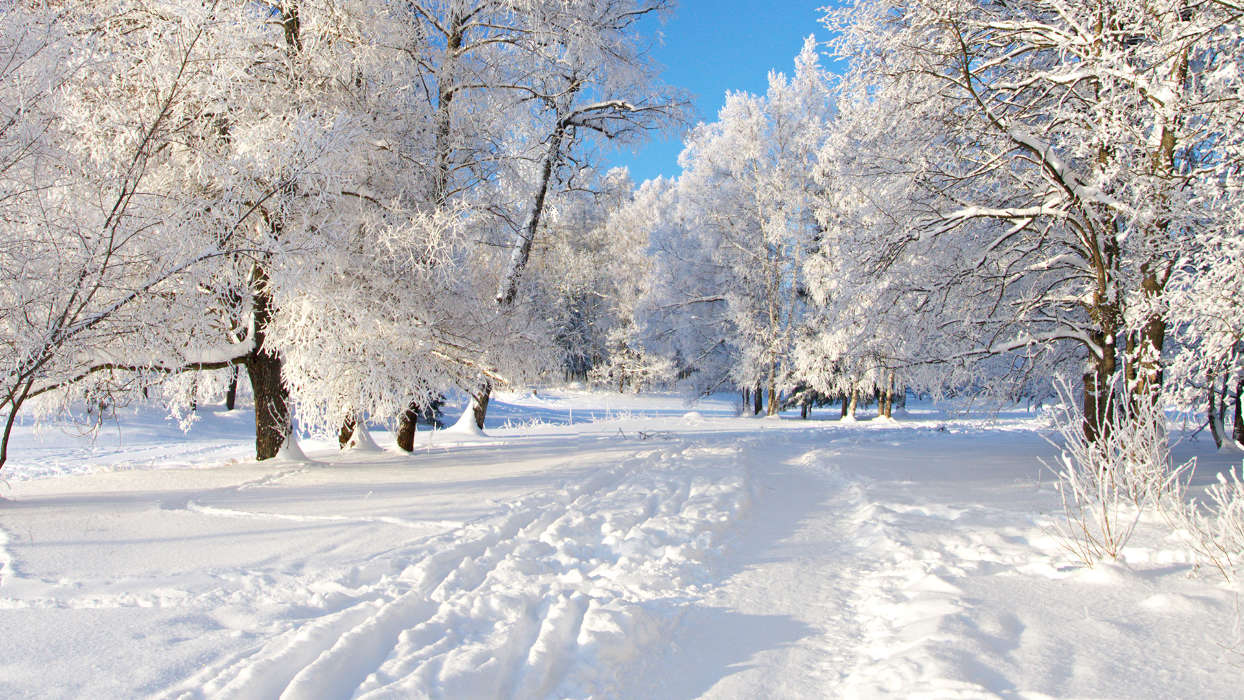 Landscape, Snow, Winter
