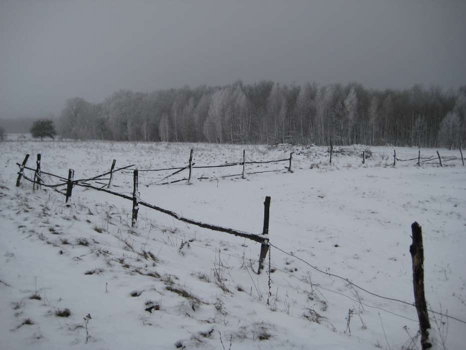 Landscape, Winter, Snow