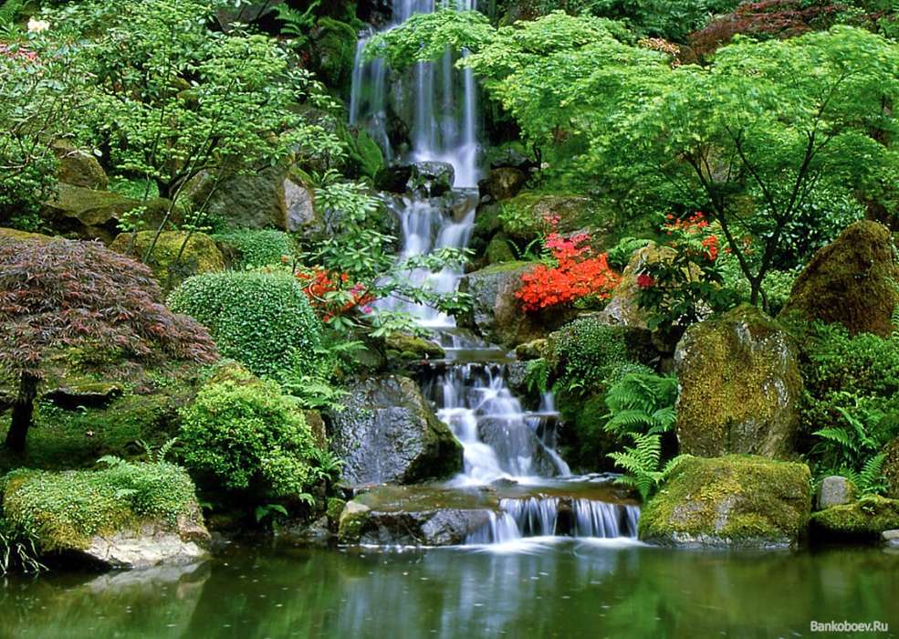 Nature, Water, Waterfalls
