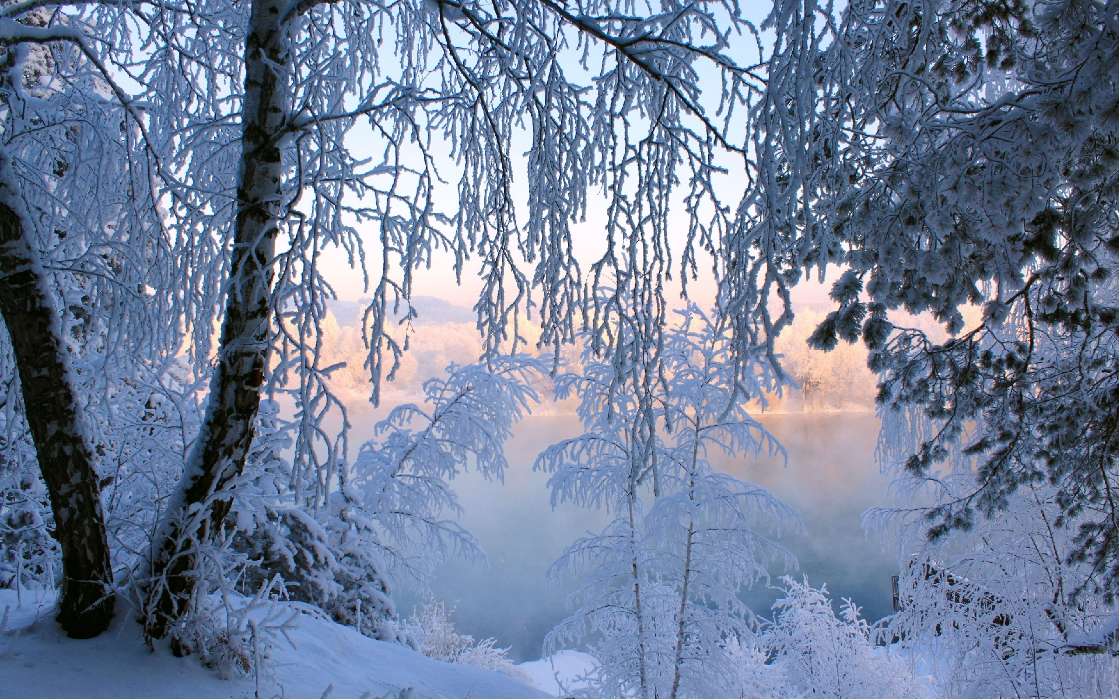 Landscape,Winter