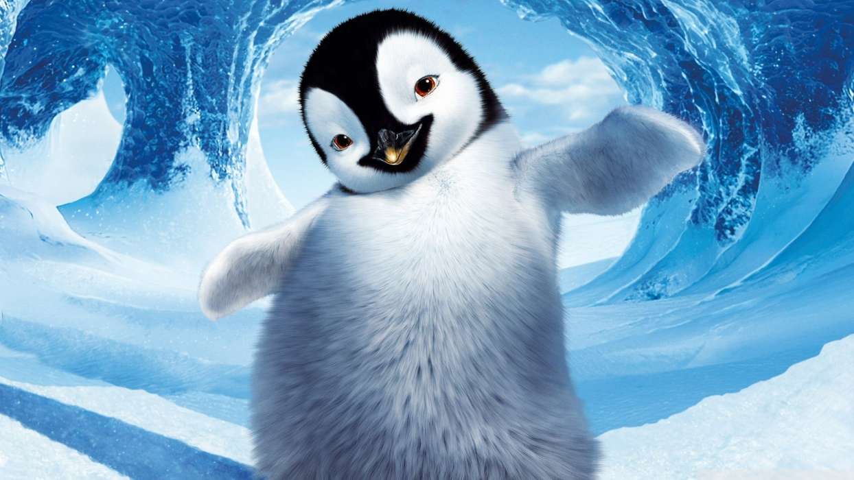 Pinguins,Pictures,Animals