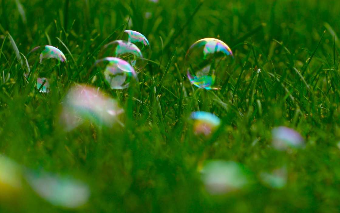 Bubbles, Plants, Grass