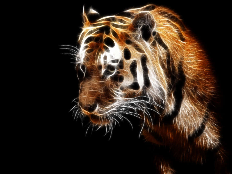 Animals, Art, Tigers