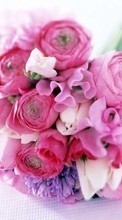 Scaricare immagine Holidays, Plants, Flowers, Bouquets, March 8, International Women's Day (IWD) sul telefono gratis.