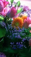 Scaricare immagine Holidays, Plants, Flowers, Postcards, March 8, International Women's Day (IWD) sul telefono gratis.