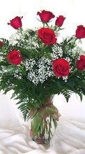Scaricare immagine 540x960 Holidays, Plants, Flowers, Roses, March 8, International Women's Day (IWD) sul telefono gratis.