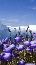 Scaricare immagine Icebergs,Landscape sul telefono gratis.