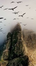 Scaricare immagine Seagulls, Mountains, Nature sul telefono gratis.