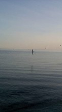 Scaricare immagine Seagulls,Sea,Landscape sul telefono gratis.