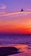 Scaricare immagine Seagulls, Sea, Landscape, Sunset sul telefono gratis.