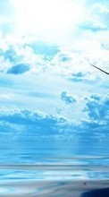 Scaricare immagine Seagulls, Sky, Clouds, Nature sul telefono gratis.