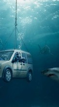 Scaricare immagine Humor, Auto, Sea, Sharks, Ford sul telefono gratis.