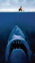 Scaricare immagine Sharks,People,Pictures,Funny sul telefono gratis.