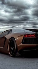 Scaricare immagine Lamborghini, Auto, Transport sul telefono gratis.