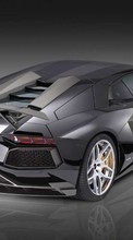 Scaricare immagine Lamborghini, Auto, Transport sul telefono gratis.