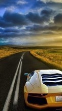 Scaricare immagine Lamborghini,Auto,Transport sul telefono gratis.