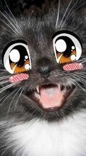 Scaricare immagine Anime, Cats, Funny, Animals sul telefono gratis.