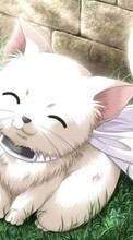 Scaricare immagine Anime,Cats sul telefono gratis.