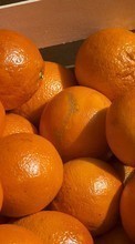 Scaricare immagine Fruits, Food, Backgrounds, Oranges sul telefono gratis.