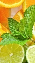 Scaricare immagine Oranges, Food, Background, Fruits, Lemons sul telefono gratis.
