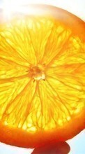 Scaricare immagine Oranges, Food, Background, Fruits, Sun sul telefono gratis.