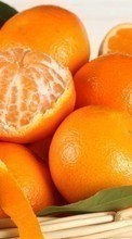 Scaricare immagine Oranges,Food,Fruits sul telefono gratis.