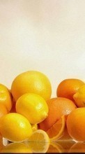 Scaricare immagine Fruits, Food, Lemons, Oranges sul telefono gratis.