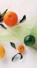 Scaricare immagine Oranges,Food,Fruits,Lemons sul telefono gratis.