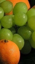 Scaricare immagine 128x160 Fruits, Food, Oranges, Grapes sul telefono gratis.