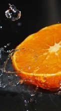 Scaricare immagine Oranges, Food, Fruits, Water sul telefono gratis.