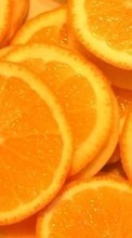 Scaricare immagine Fruits, Backgrounds, Oranges sul telefono gratis.