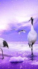 Scaricare immagine Heron, Birds, Animals sul telefono gratis.