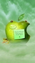 Scaricare immagine Brands, Logos, Apple, Apples sul telefono gratis.