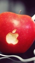 Scaricare immagine Apple,Apples,Food,Objects sul telefono gratis.