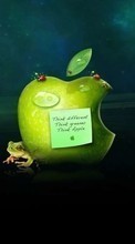 Scaricare immagine Apple, Brands, Background sul telefono gratis.