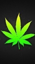 Scaricare immagine Marijuana, Logos, Plants sul telefono gratis.