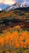Scaricare immagine 480x800 Landscape, Trees, Art sul telefono gratis.