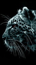 Scaricare immagine Animals, Art, Leopards sul telefono gratis.