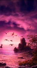 Art, Sea, Sky, Nature per Sony Ericsson K330