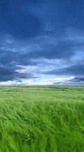 Scaricare immagine 720x1280 Landscape, Grass, Sky, Art sul telefono gratis.
