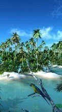 Scaricare immagine Landscape, Water, Art, Parrots, Palms sul telefono gratis.